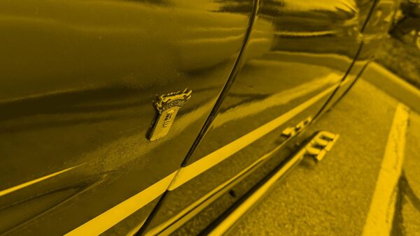 *MEMBERS ONLY* Crest Fender Badge - Image 5